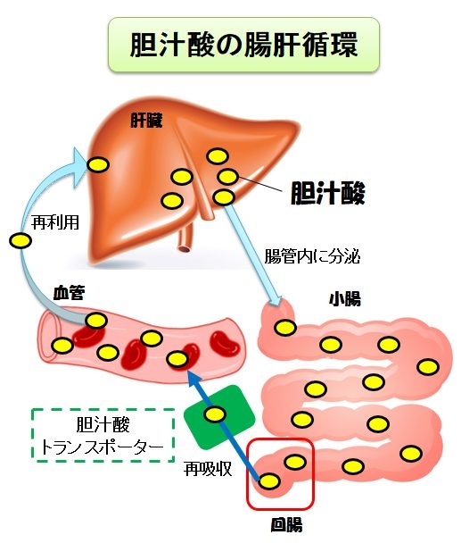 グーヒス